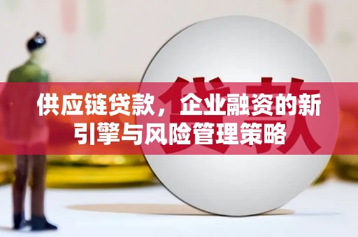 汤旺河供应链贷款，企业融资的新引擎与风险管理策略