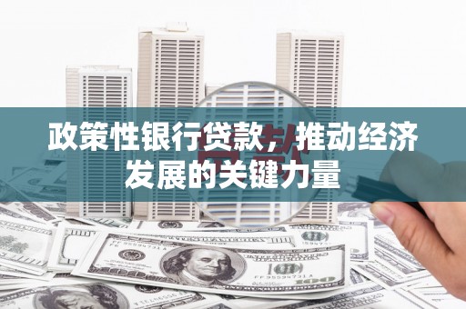 汤旺河政策性银行贷款，推动经济发展的关键力量
