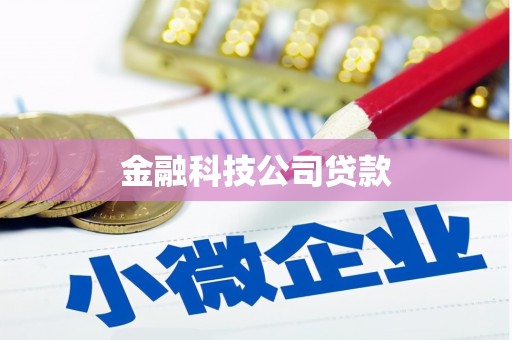汤旺河金融科技公司贷款