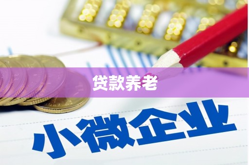 汤旺河贷款养老