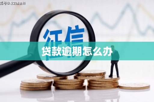 汤旺河贷款逾期怎么办