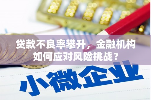 汤旺河贷款不良率攀升，金融机构如何应对风险挑战？