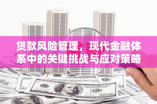 汤旺河贷款风险管理，现代金融体系中的关键挑战与应对策略