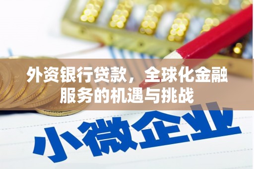 汤旺河外资银行贷款，全球化金融服务的机遇与挑战