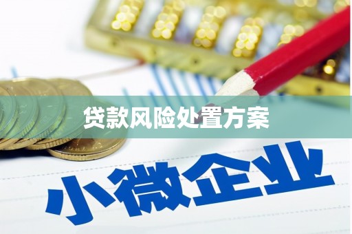 汤旺河贷款风险处置方案